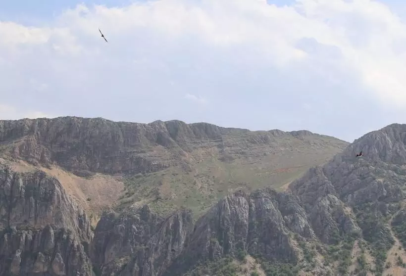 Отель Euphrat Nemrut