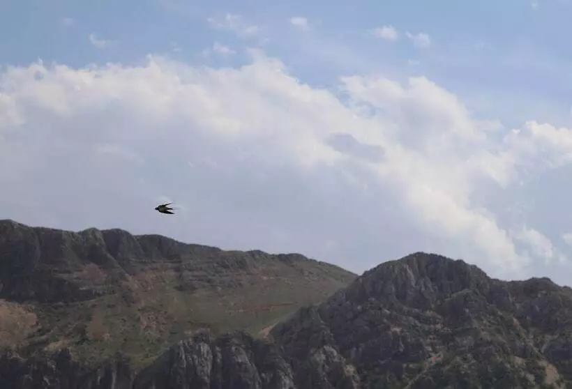 Отель Euphrat Nemrut