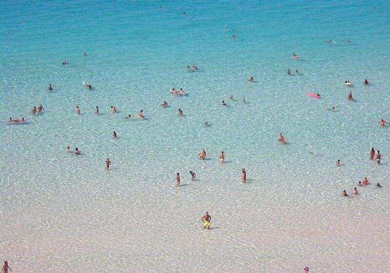 فندق Mediterraneo