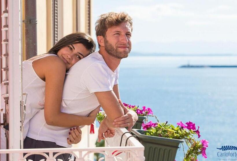 בית מלון כפרי Nic