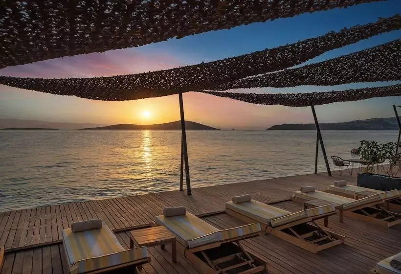 酒店 Swissôtel Living Bodrum