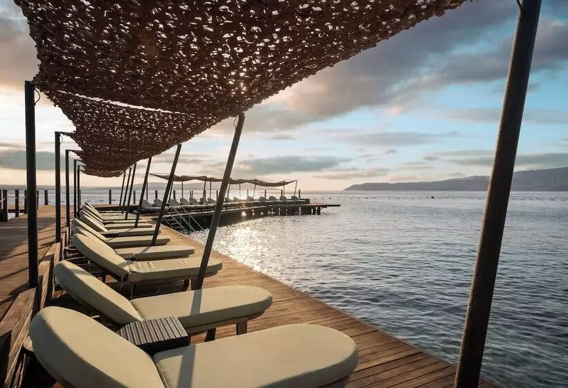 酒店 Swissôtel Living Bodrum