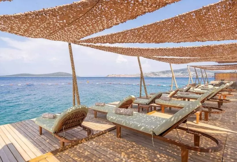 酒店 Swissôtel Living Bodrum