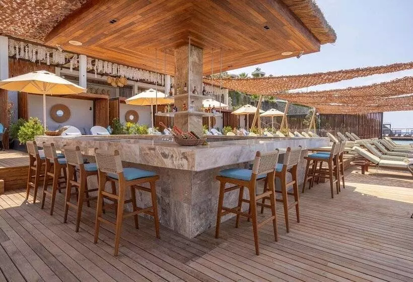 酒店 Swissôtel Living Bodrum