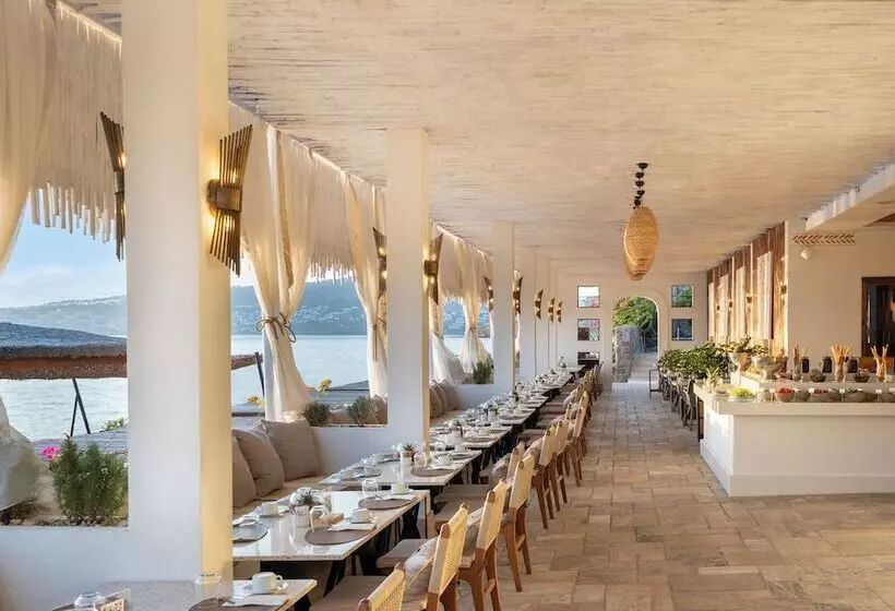 酒店 Swissôtel Living Bodrum