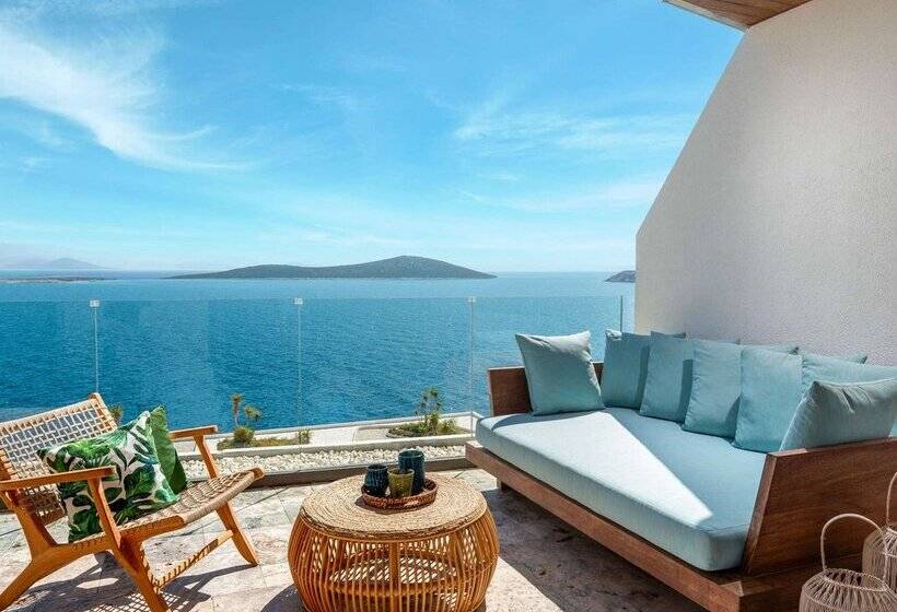 호텔 Swissôtel Living Bodrum