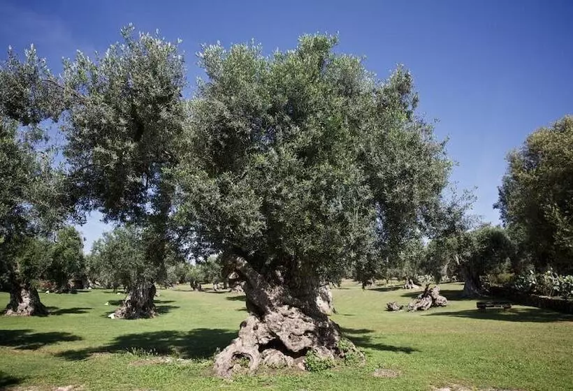 هتل Tenuta Monacelli Lecce