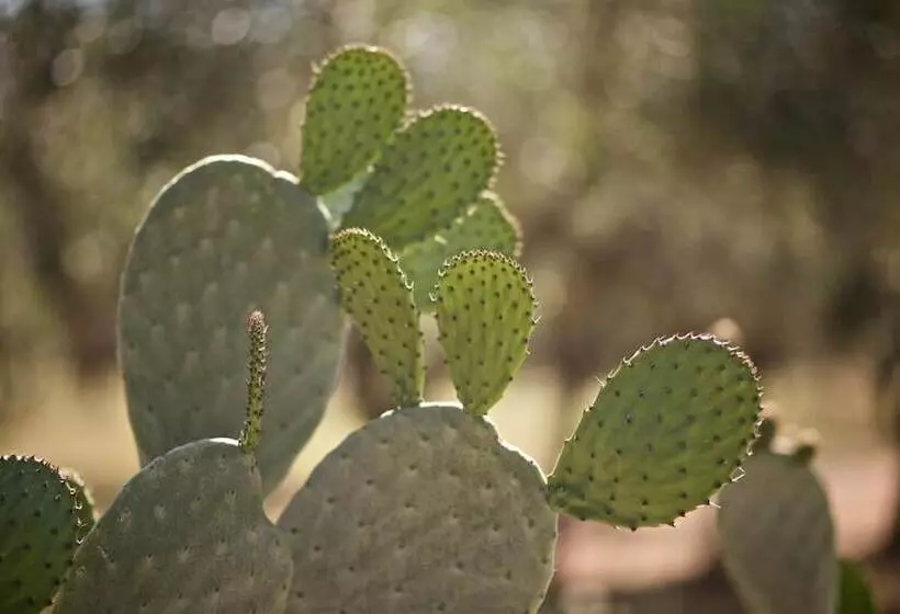 هتل Tenuta Monacelli Lecce