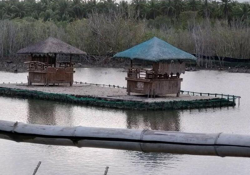 酒店 Punta Aguila Resort &