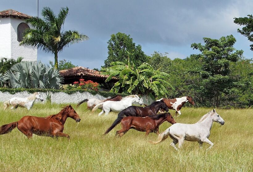 هتل Rancho Chilamate Guest Ranch