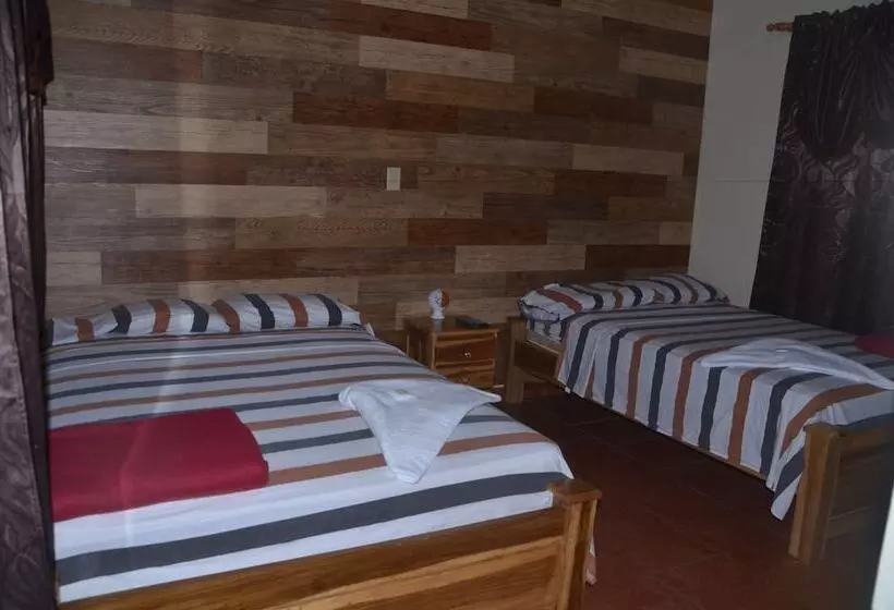 ホテル Hostal Doraz