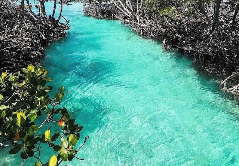 Nautilus By La Jamaca Hotels Downtown La Parguera