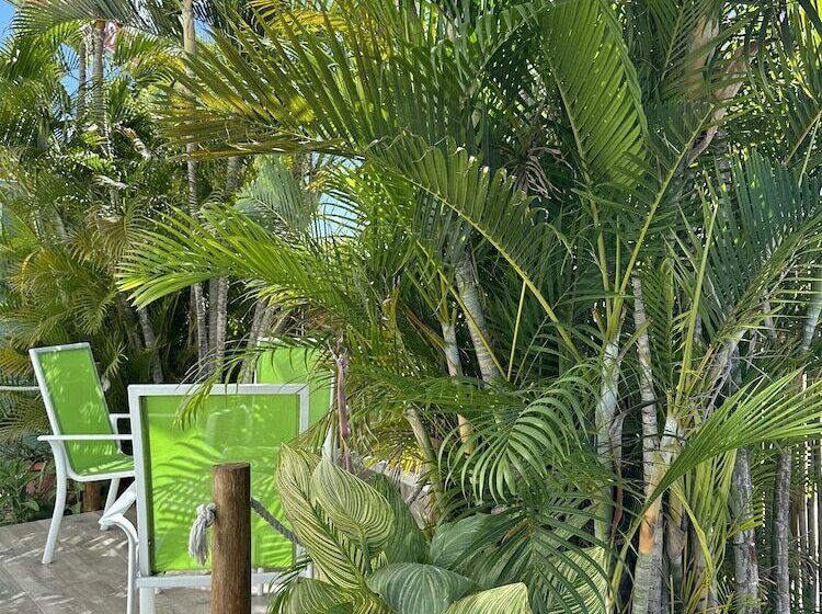 Nautilus By La Jamaca Hotels Downtown La Parguera