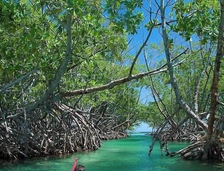 Nautilus By La Jamaca Hotels Downtown La Parguera