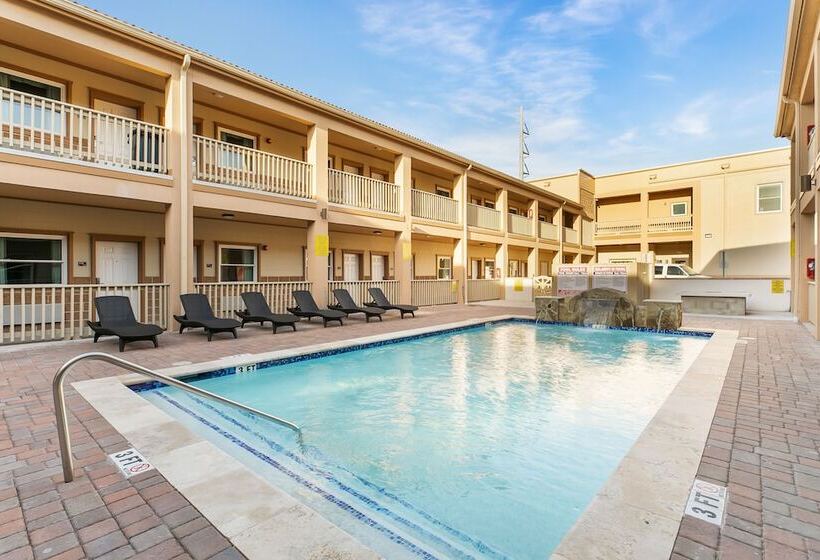 فندق El Delfin Lodge