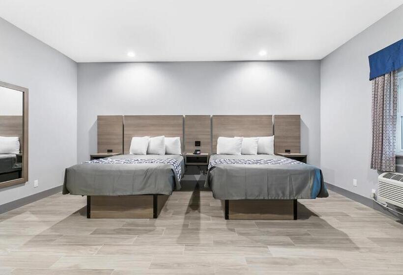 فندق El Delfin Lodge