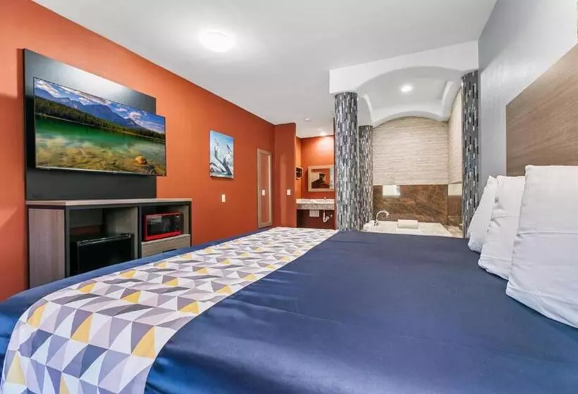 ホテル El Delfin Lodge
