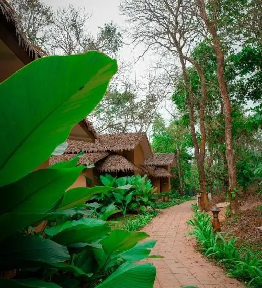 Maple Ash Resort