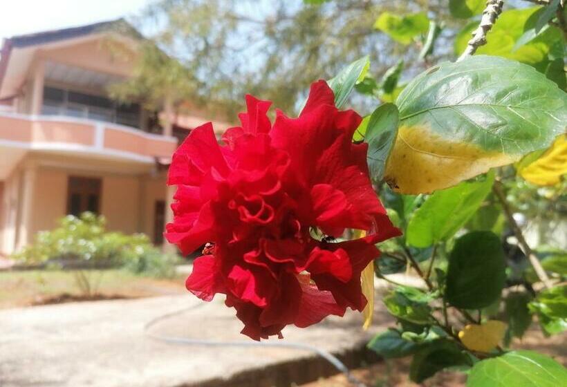 بنسيون Ashoka Villa