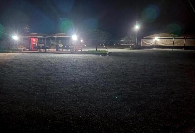 פנסיון Big D Accommodation & Guesthouse