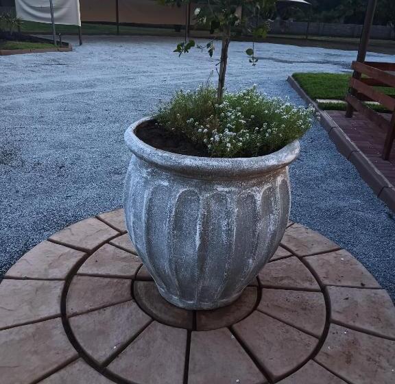 פנסיון Big D Accommodation & Guesthouse