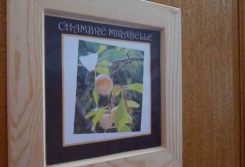 بنسيون Le Bosquet Fruité Chambres D Hôtes En Provence Occitane