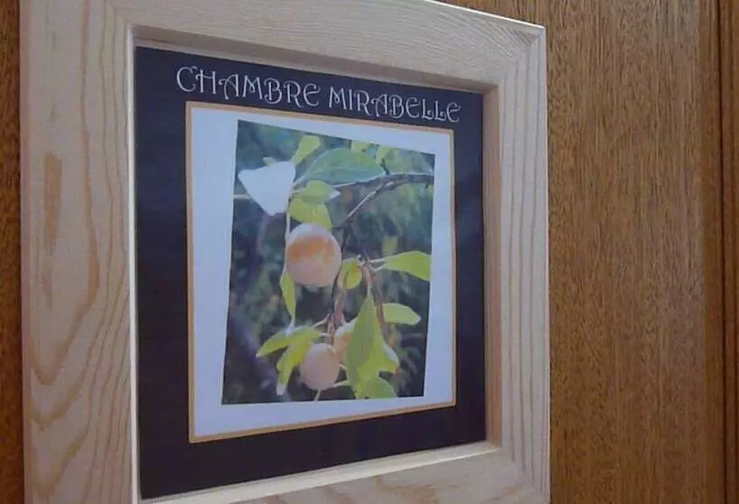 ペンション Le Bosquet Fruité Chambres D Hôtes En Provence Occitane