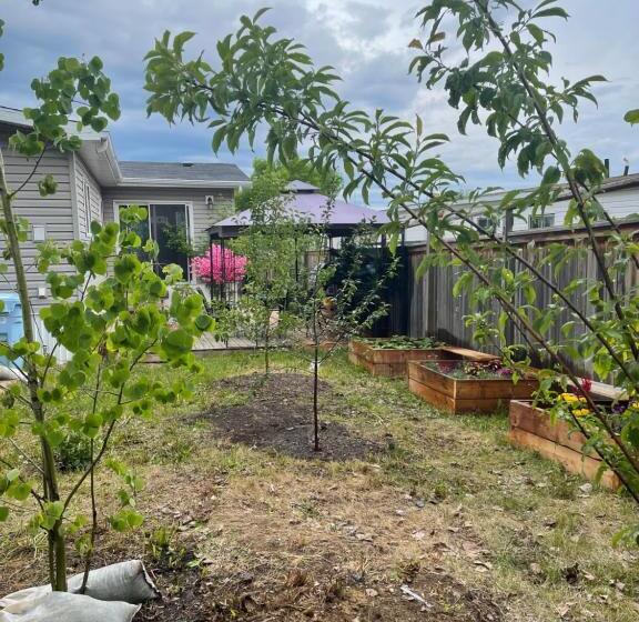 Szálló Lemon Tree Inn