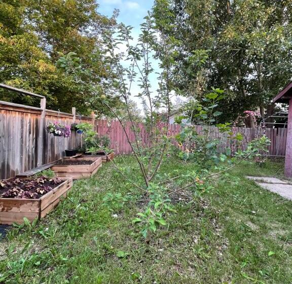 Szálló Lemon Tree Inn