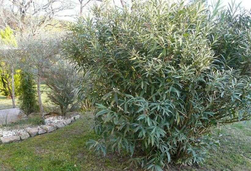 تختخواب و صبحانه Au Bras D Argent Léa Et Vincent