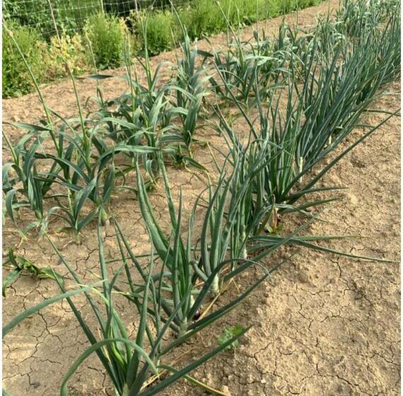 호텔 Cascina Domina