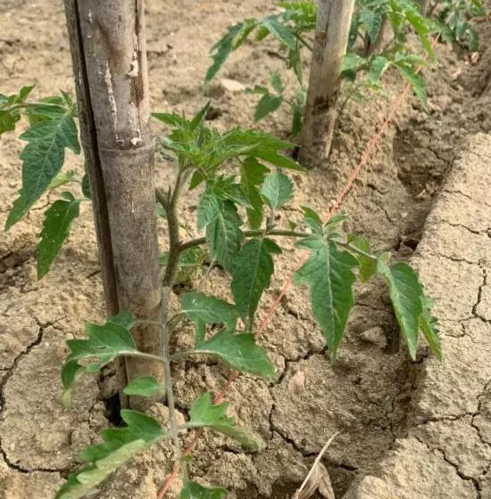 Hotelli Cascina Domina