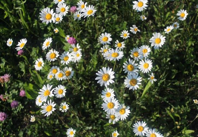 호텔 Cascina Domina