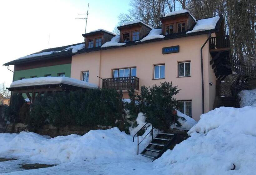 بنسيون Chata Artur