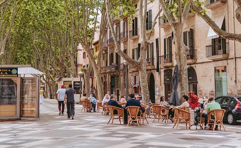 פנסיון Rambla Palma Center