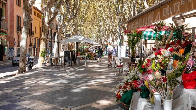 פנסיון Rambla Palma Center