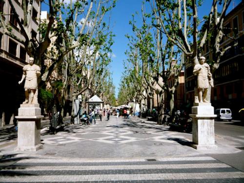 פנסיון Rambla Palma Center