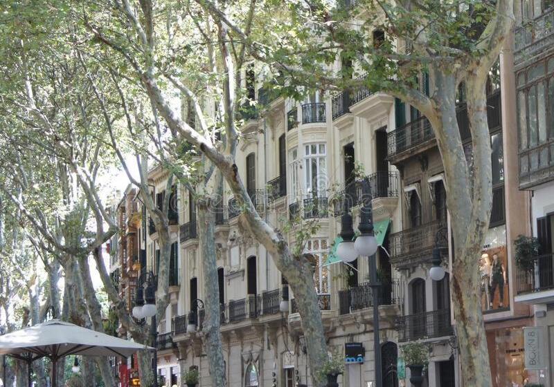 פנסיון Rambla Palma Center