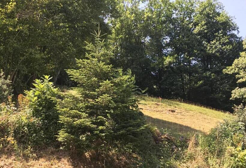 住宿加早餐  Chambre D Hôte Aux Pivoines