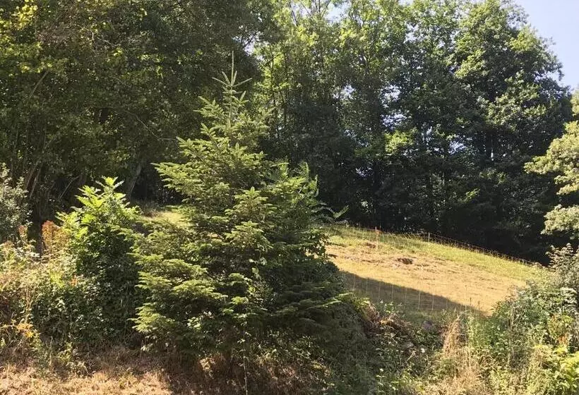 Aamiaismajoitus (B&B) Chambre D Hôte Aux Pivoines