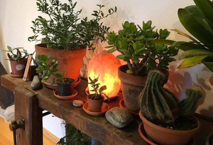 住宿加早餐  Chambre D Hôte Aux Pivoines