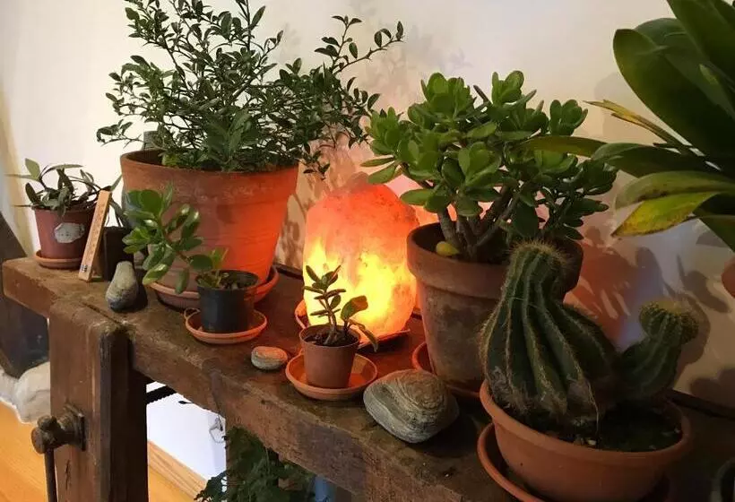 Aamiaismajoitus (B&B) Chambre D Hôte Aux Pivoines