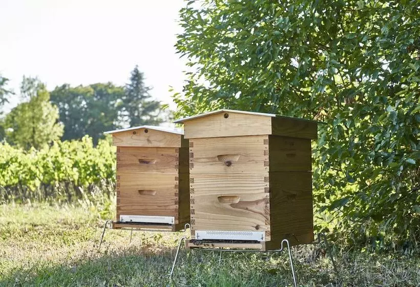 Aamiaismajoitus (B&B) Château Bonalgue   Pomerol