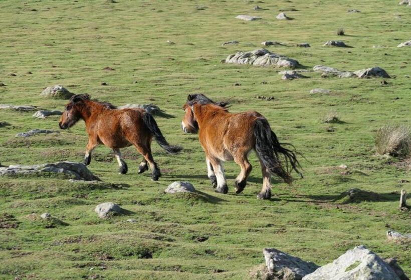 민박 Eyhera Perkain
