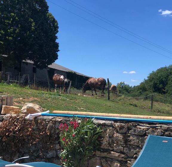 住宿加早餐  La Ferme De La Truffe Chambres D Hôtes
