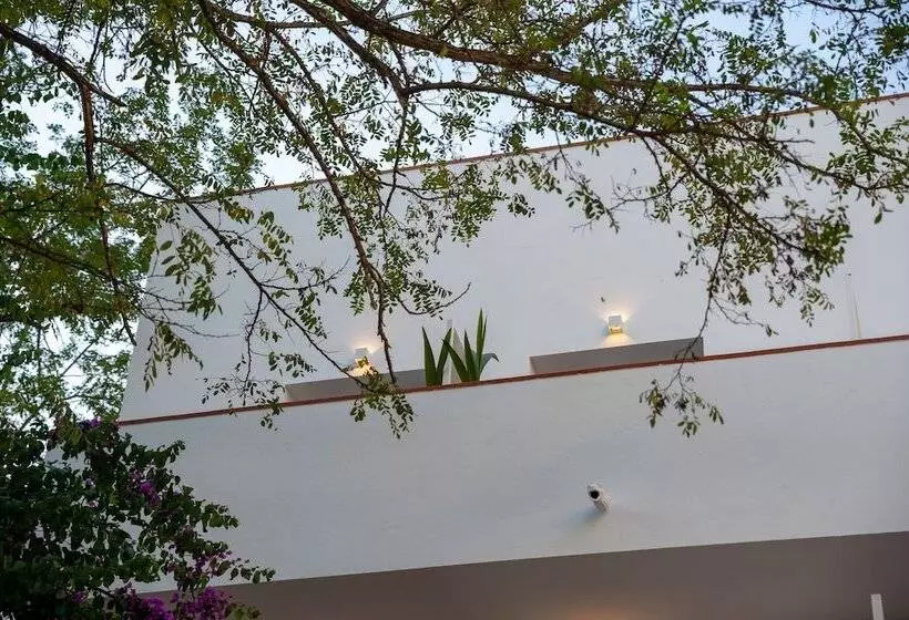 Majatalo Hostal Es Niu De Tamariu