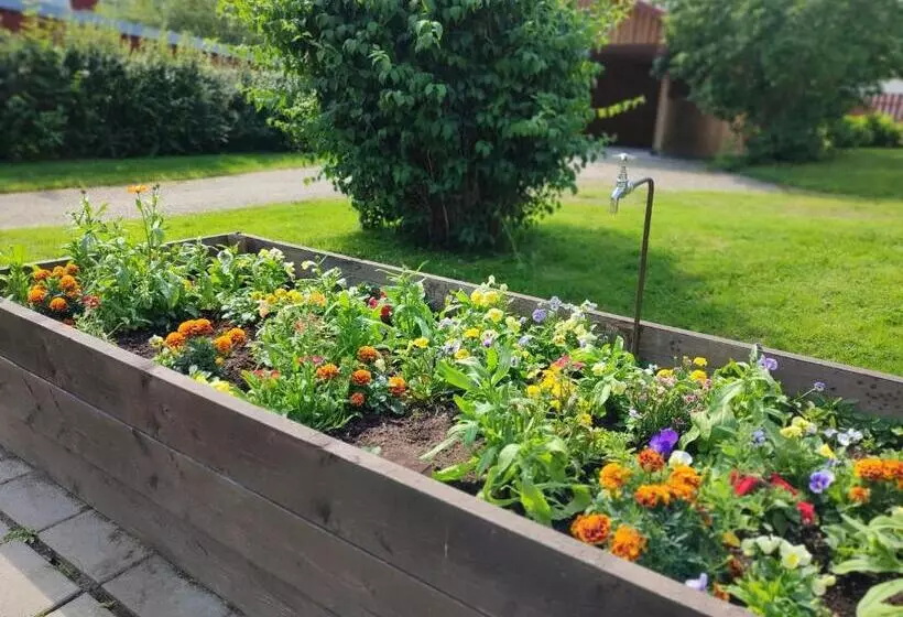 Majatalo Villa Sjöhästen