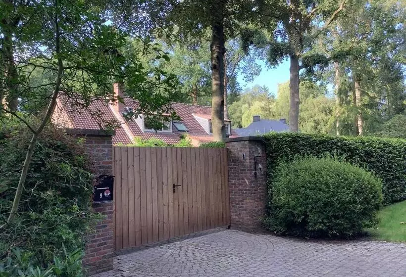 ベッドアンドブレックファースト T Greefsch Geluck