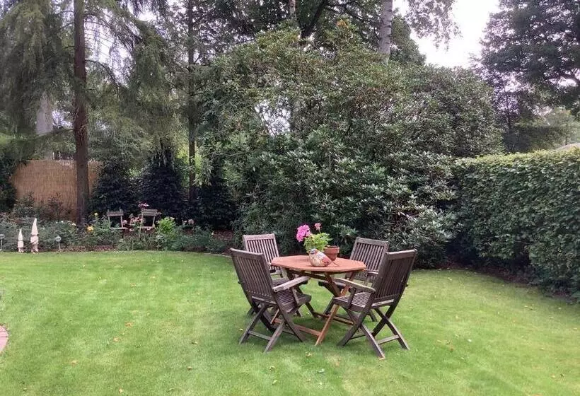 ベッドアンドブレックファースト T Greefsch Geluck