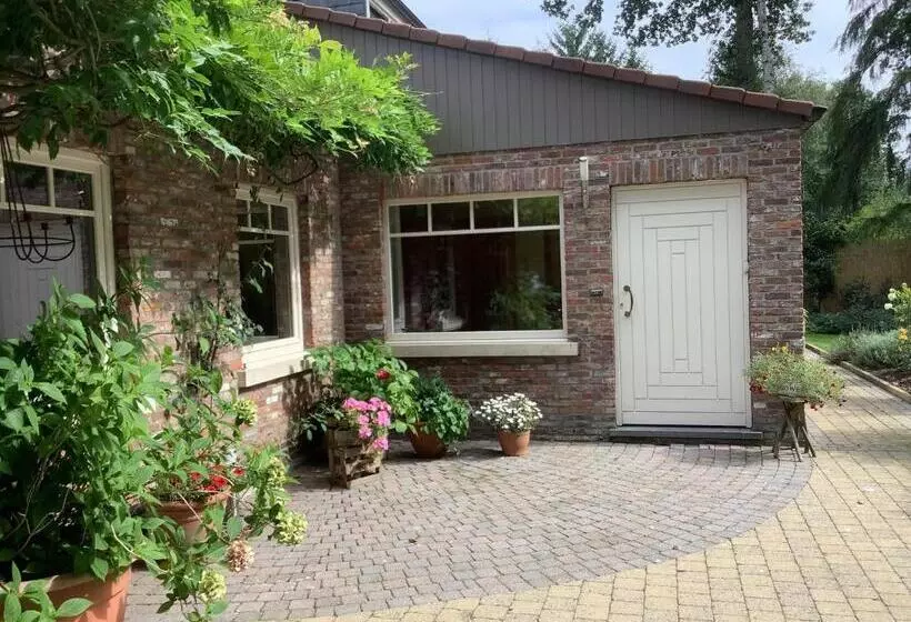 ベッドアンドブレックファースト T Greefsch Geluck